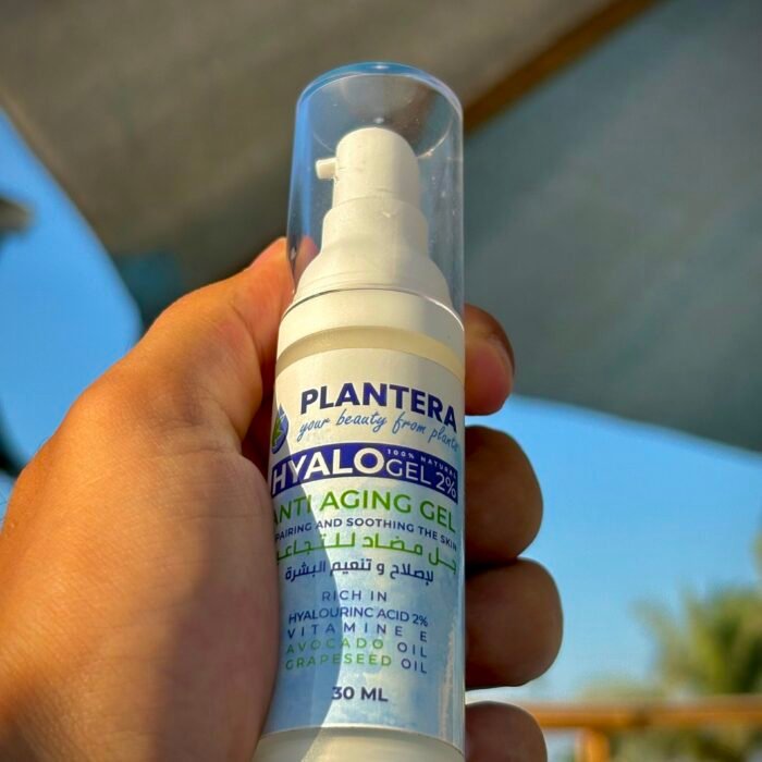 IMG_8658_(1) IMG_8658_(1)